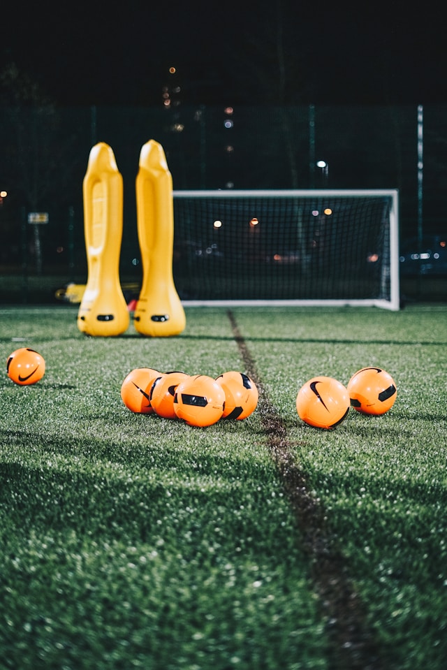 Panoramic view of Funchal from Madeira Botanical Garden.
